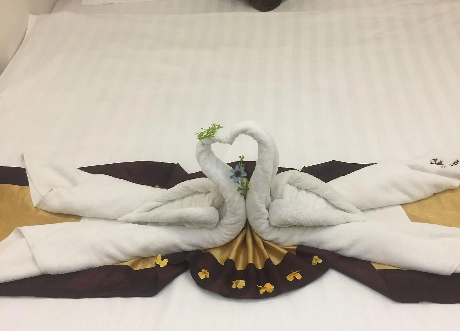 City Central Inn Rangoon Myanmar